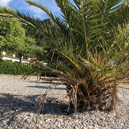Villa Sabine Apartment Losinj Medveja Εξωτερικό φωτογραφία